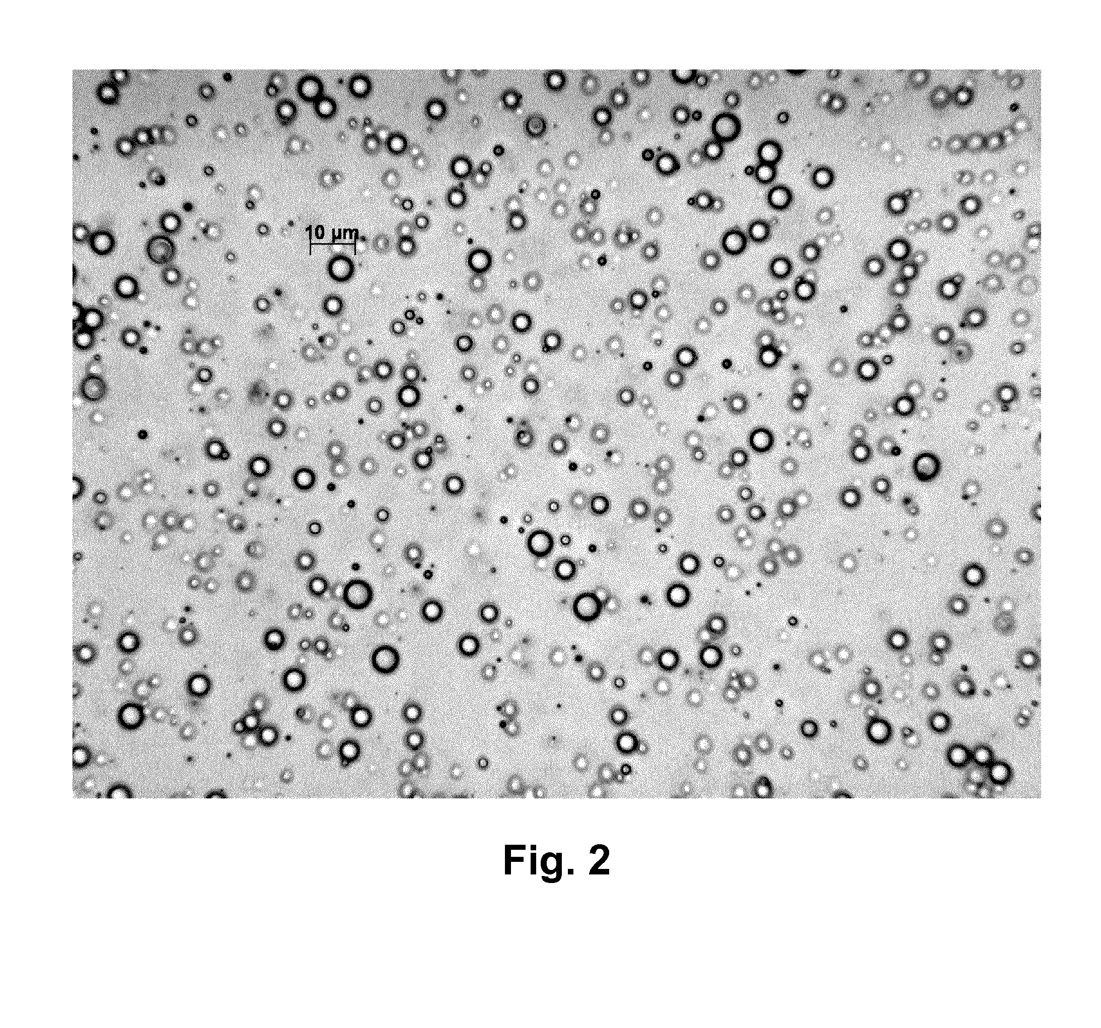 Herbicidal composition comprising polymeric microparticles containing a herbicide