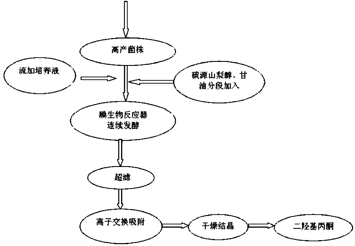 Method for producing dihydroxyacetone by using gluconobacter sp.