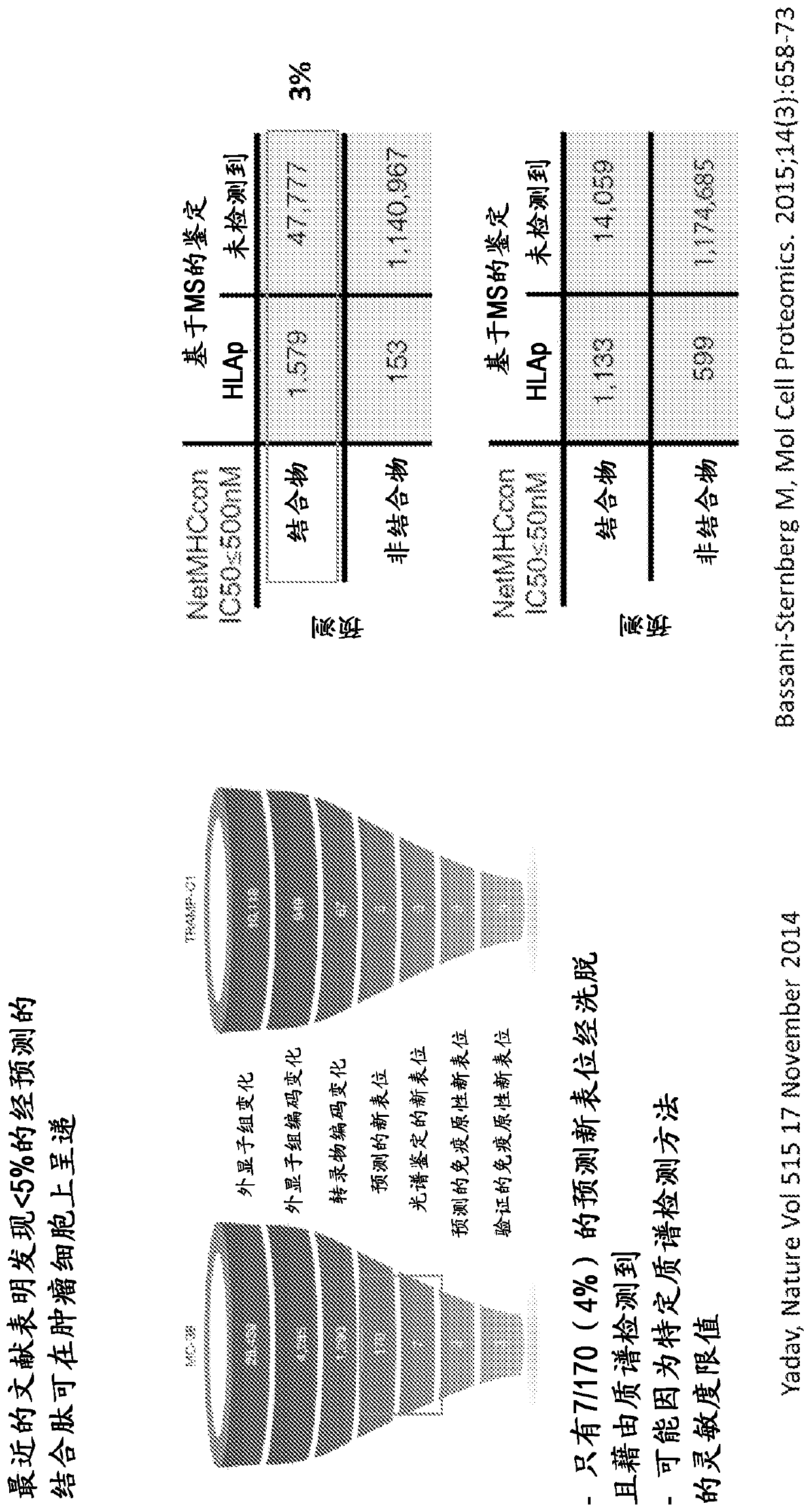 Viral delivery of neoantigens