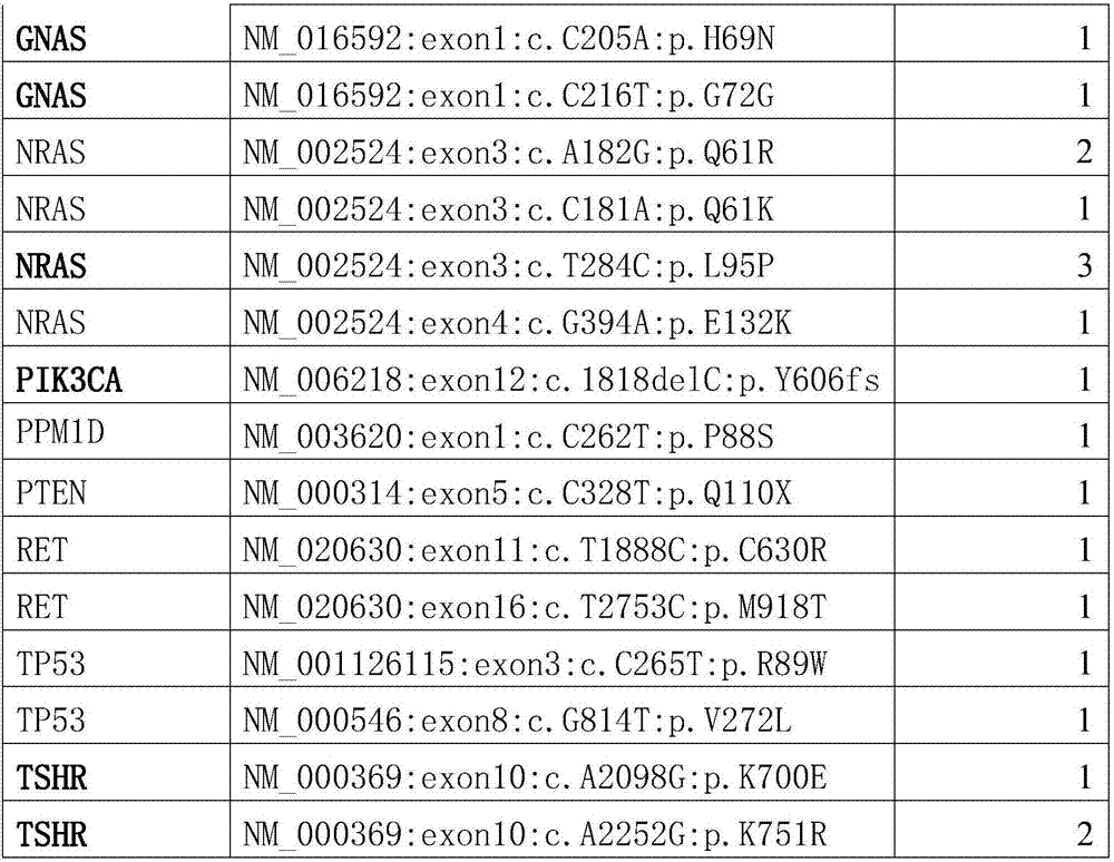 Gene polymorphism sites related to thyroid cancer and application thereof
