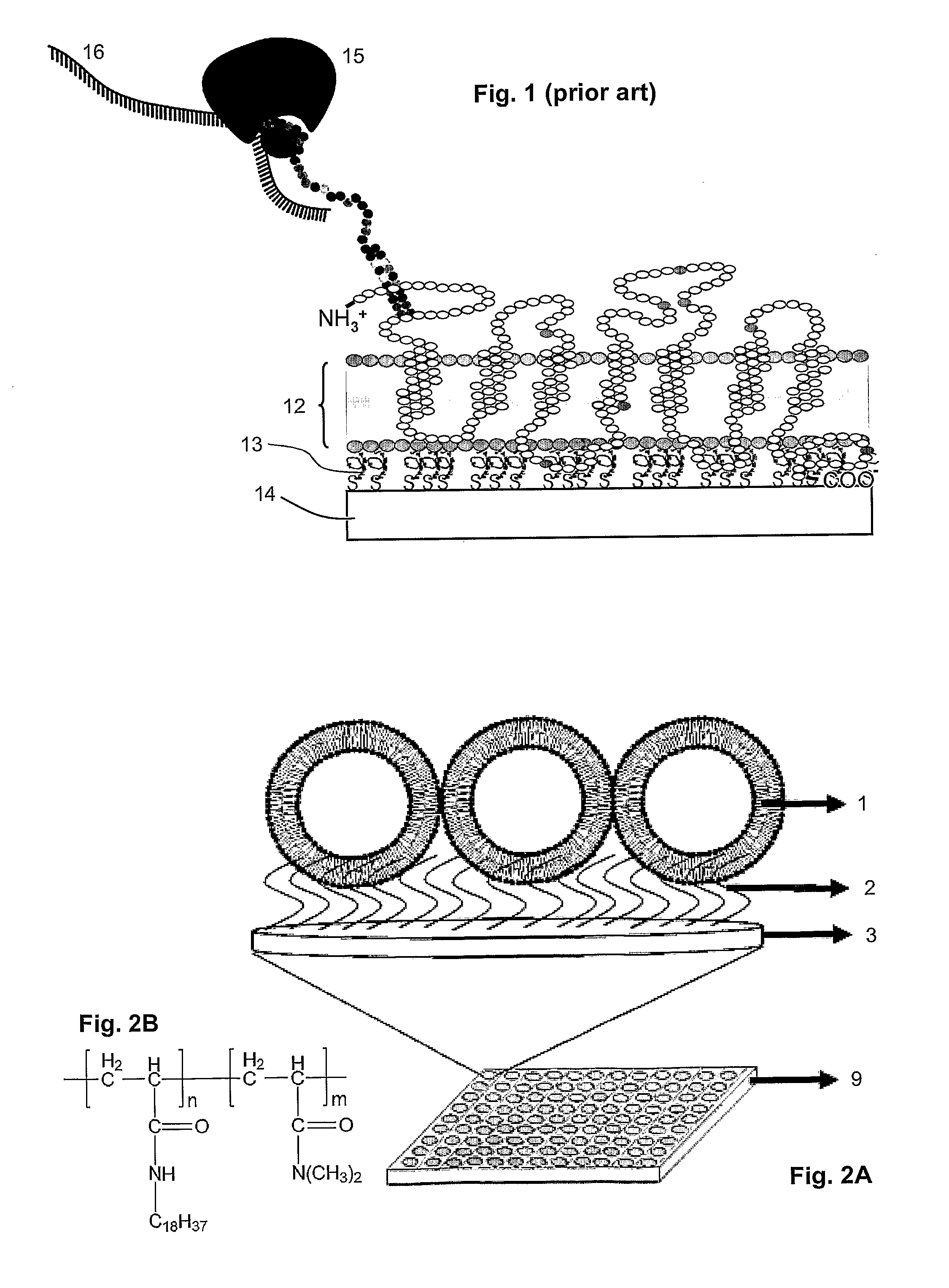 Vesicular system and uses thereof