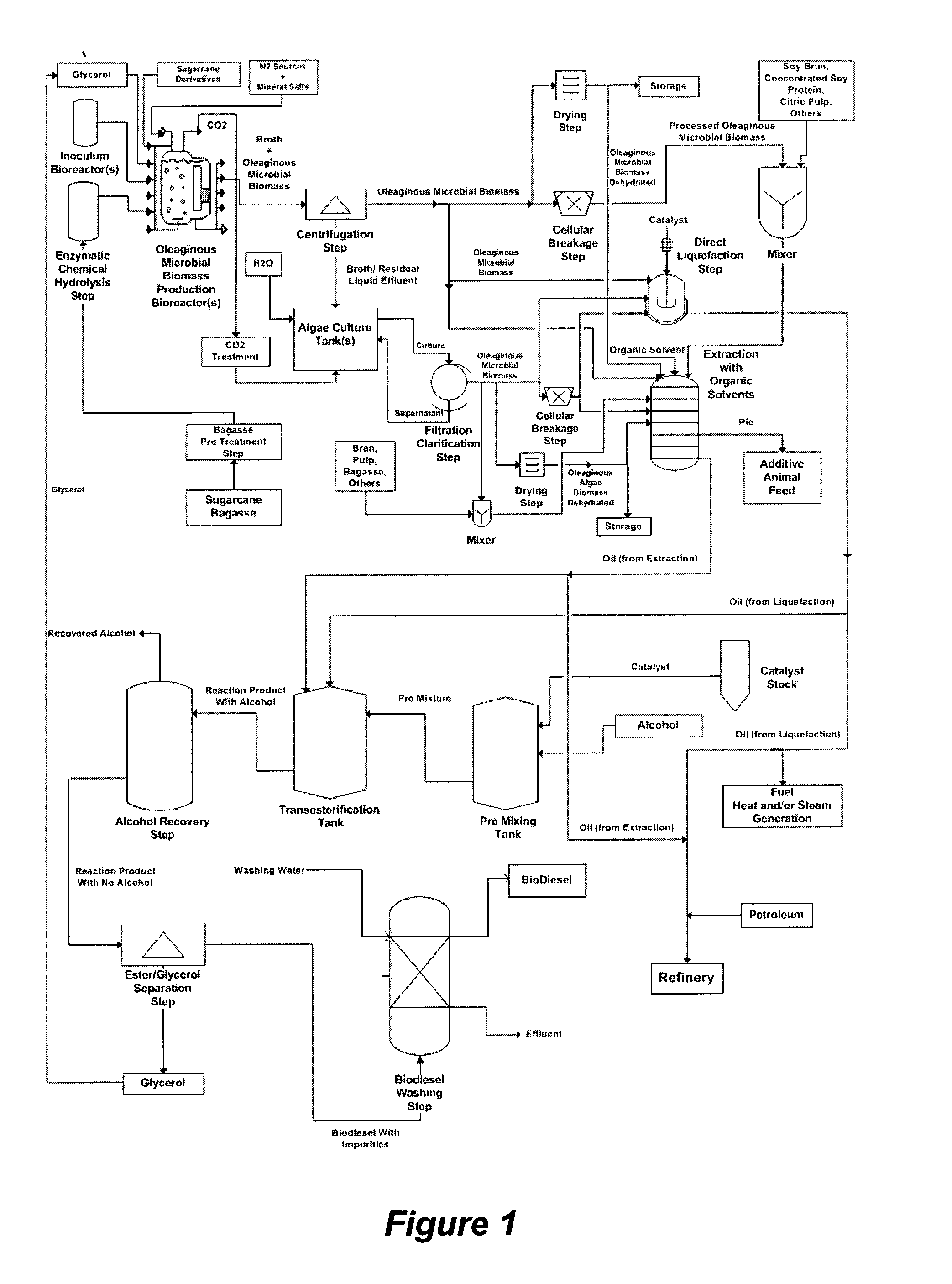 Process to produce biodiesel and/or fuel oil