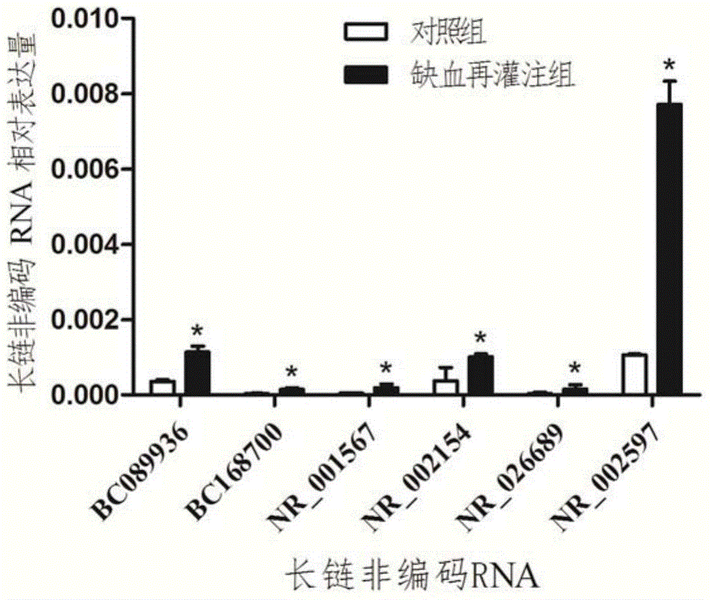 Screening method for lncRNA relevant to myocardial ischemia reperfusion and application