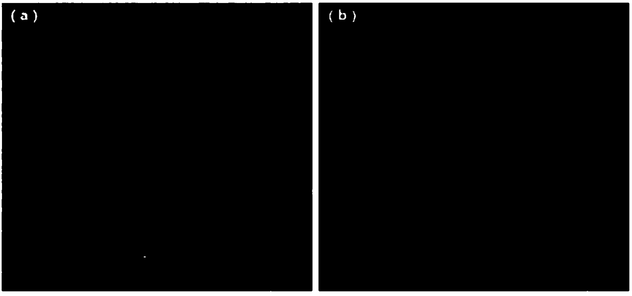 Preparation method of thermoplastic resin/fiber composite material