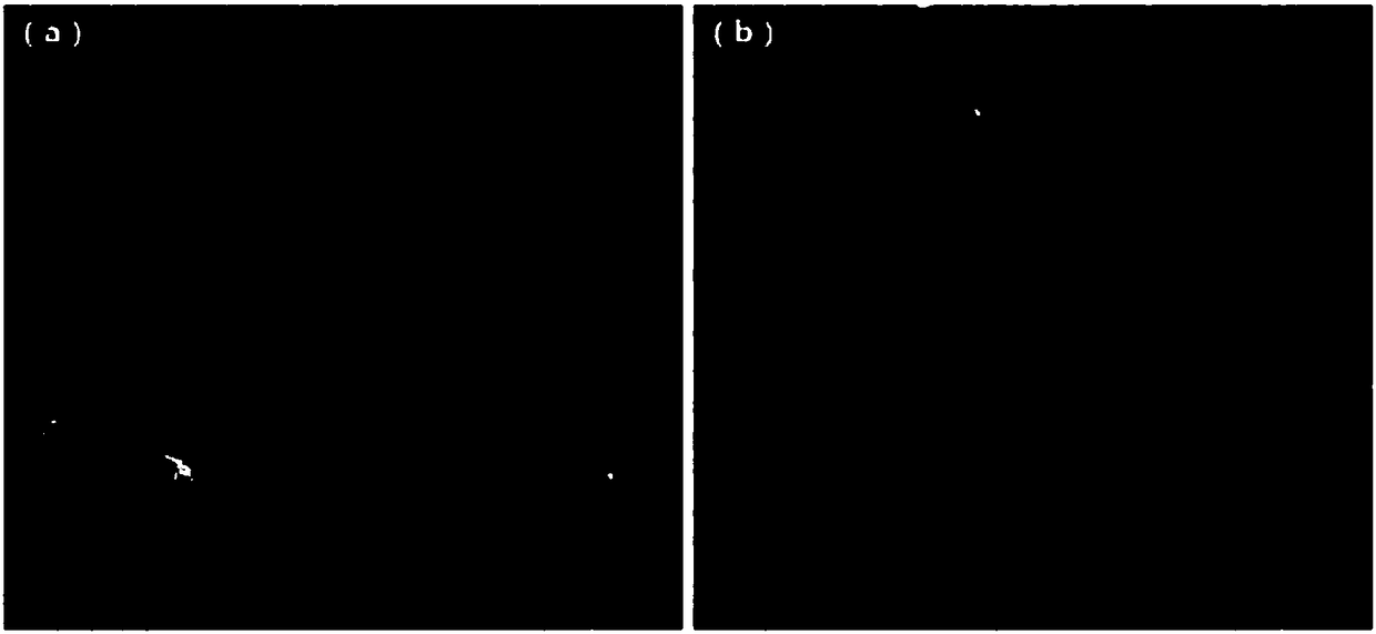 Preparation method of thermoplastic resin/fiber composite material