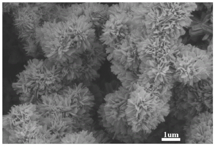 Method for preparing urchin-like vanadium base nanometer electrode material and application of the material