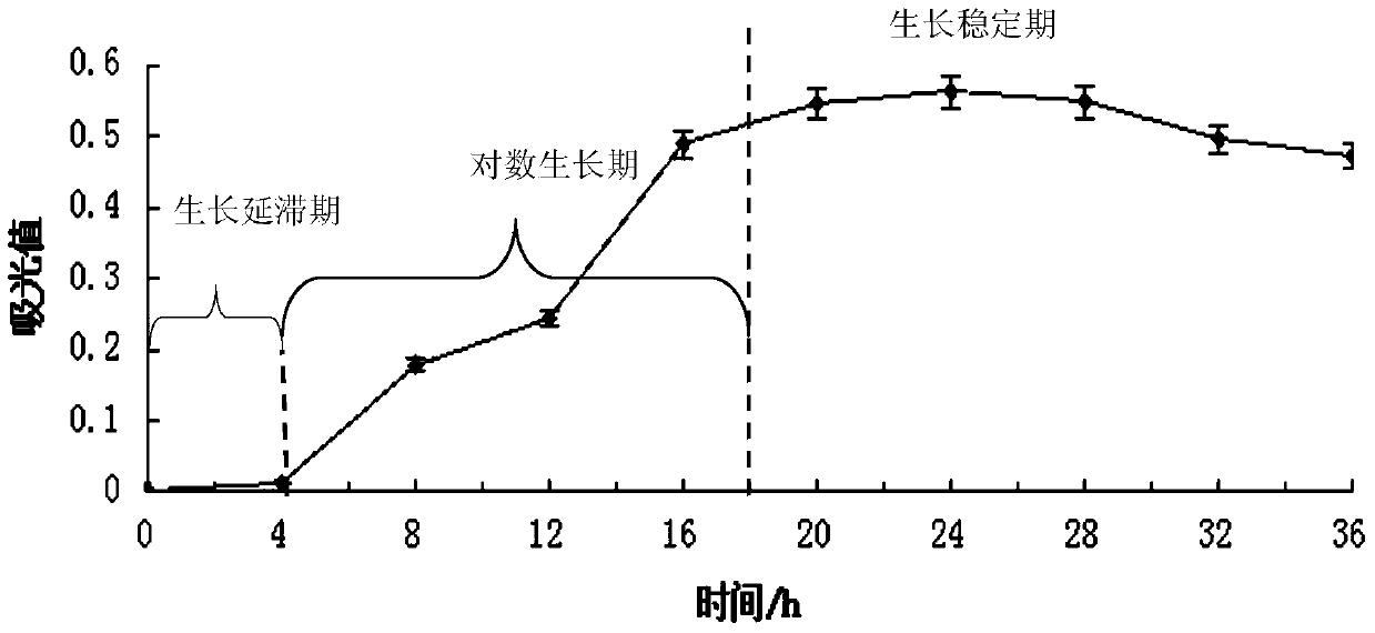 A Lactobacillus plantarum and its application