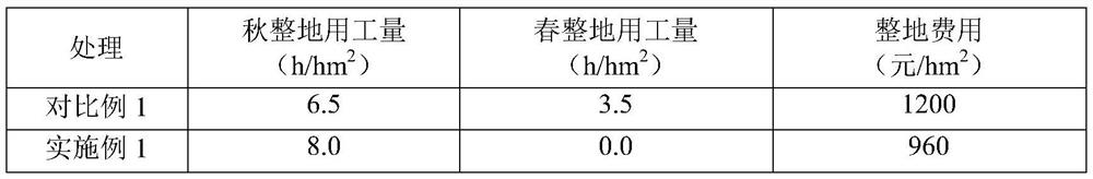 Cold region rice spring-ploughing-free dry direct seeding cultivation method