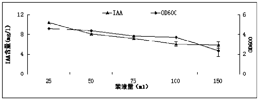 A kind of tobacco rhizosphere growth-promoting bacterium yc5 and its application