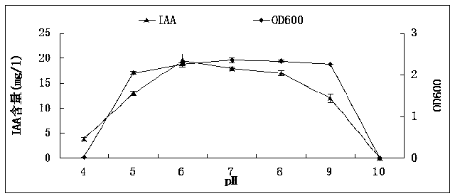 A kind of tobacco rhizosphere growth-promoting bacterium yc5 and its application