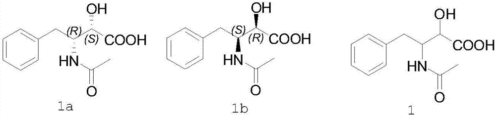 Preparation method of ubenimex intermediate (2S,3R)-3-acetamido-2-hydroxyl-4-phenylbutyric acid