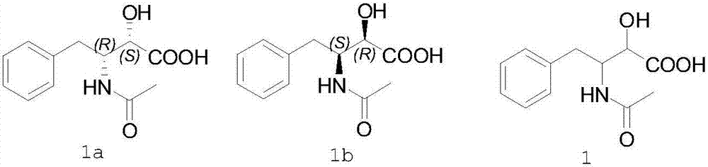 Preparation method of ubenimex intermediate (2S,3R)-3-acetamido-2-hydroxyl-4-phenylbutyric acid
