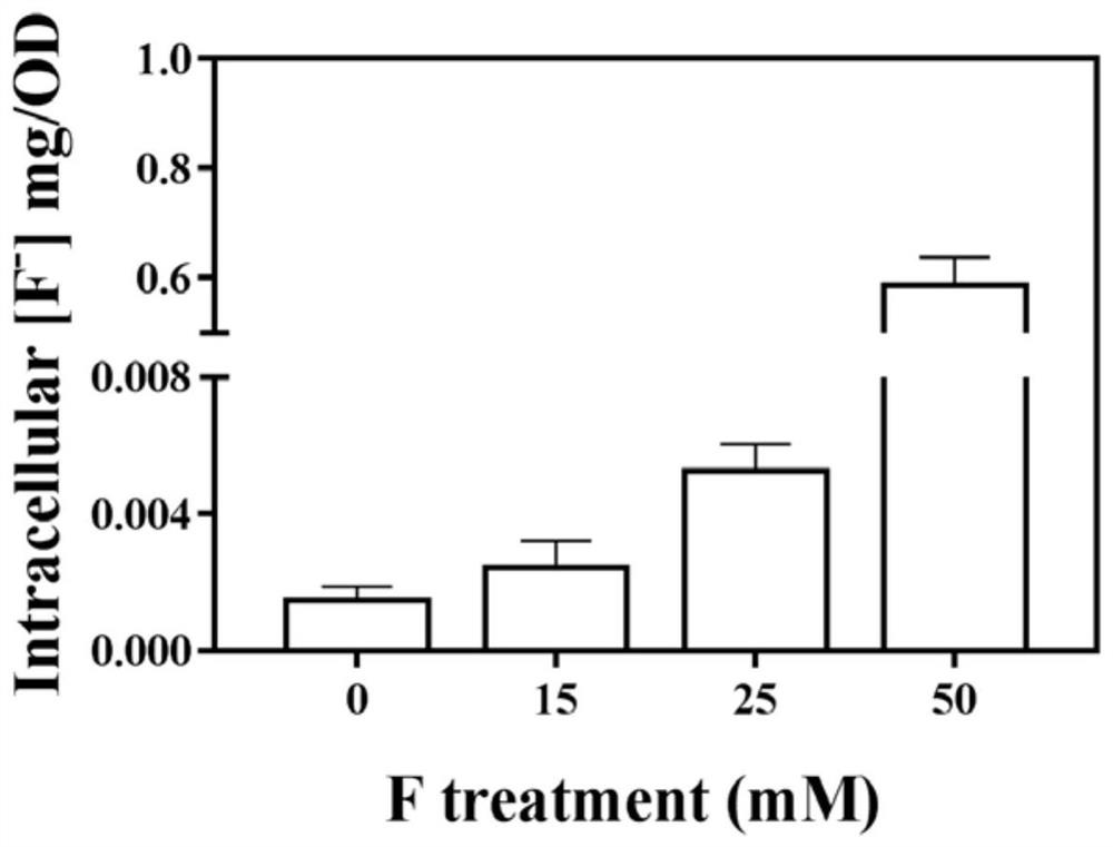Method for detecting fluorine content in escherichia coli