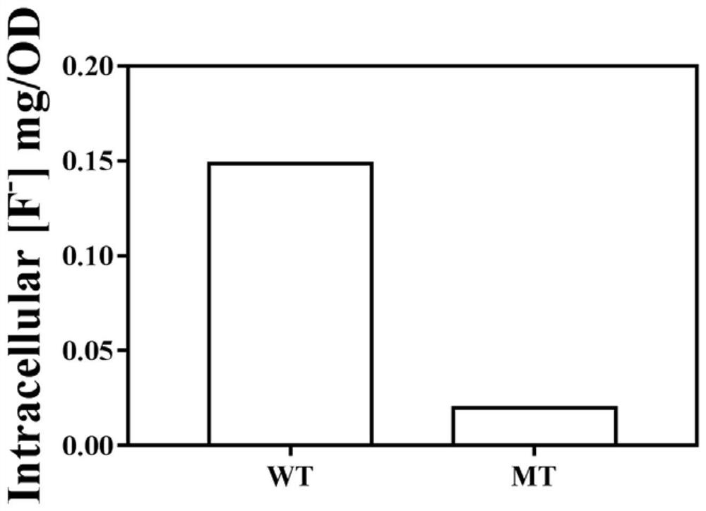 Method for detecting fluorine content in escherichia coli