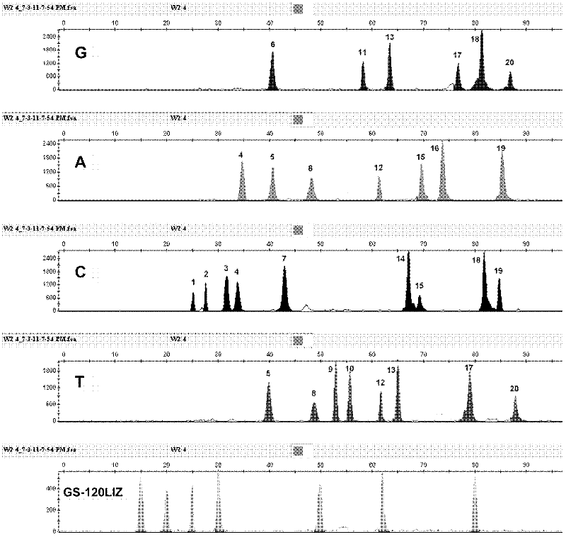 Medicolegal composite assay kit based on twenty triallelic SNP (single nucleotide polymorphism) genetic markers