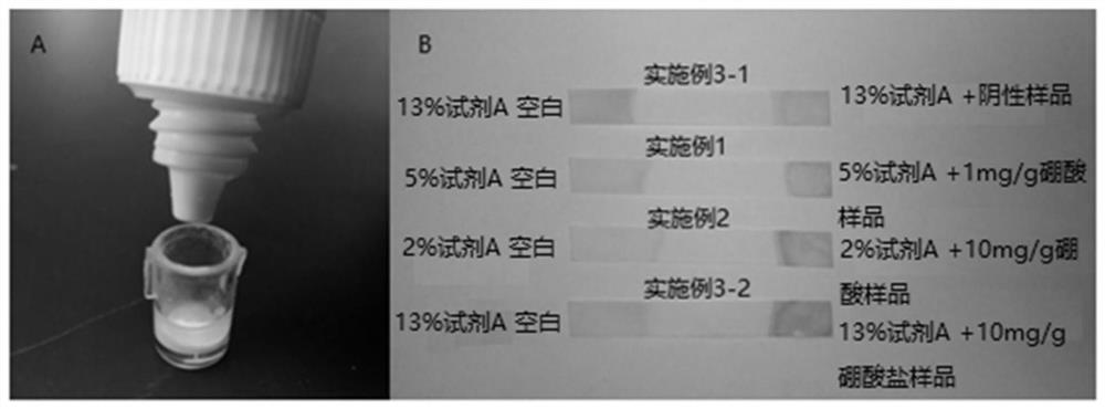 Detection method of boric acid and/or borate