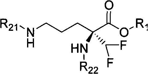 Eflornithine prodrug and conjugate and using method thereof