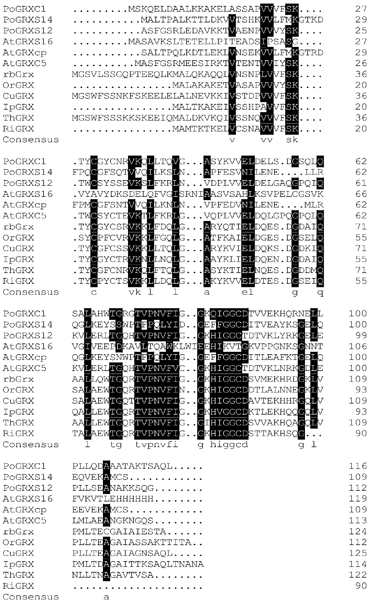 A kind of recombinant buckwheat gluten redoxin and its preparation method and application