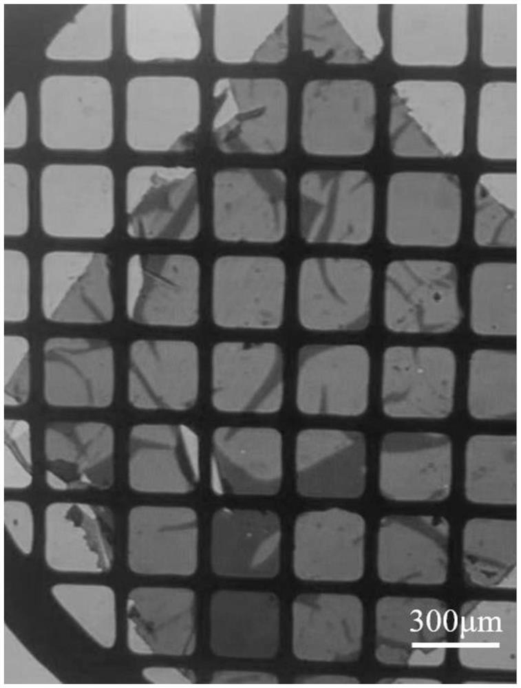 Flexible self-supporting single crystal magnetic fe  <sub>3</sub> o  <sub>4</sub> Preparation of thin film materials, thin film materials and applications, single crystal structure