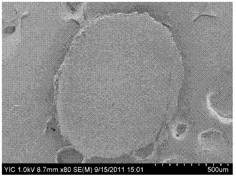 Phycocyanin microcapsule and preparation method of phycocyanin microcapsule
