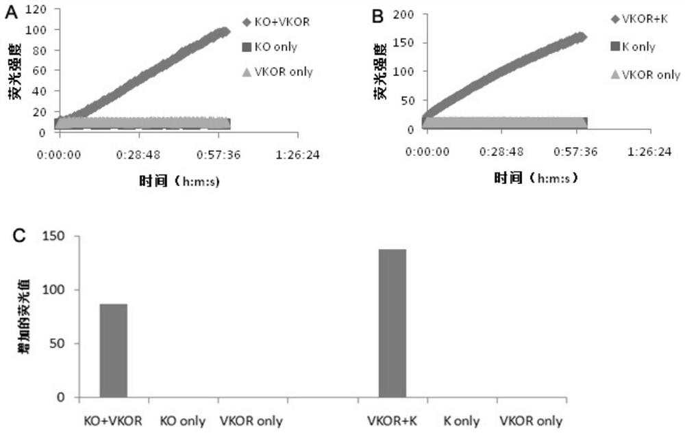 A kind of vitamin k epoxide reductase in vitro activity assay method and its application