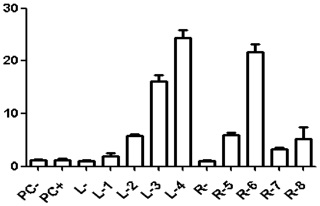 Preparation method and application of a CD132 gene-deleted immunodeficiency animal model