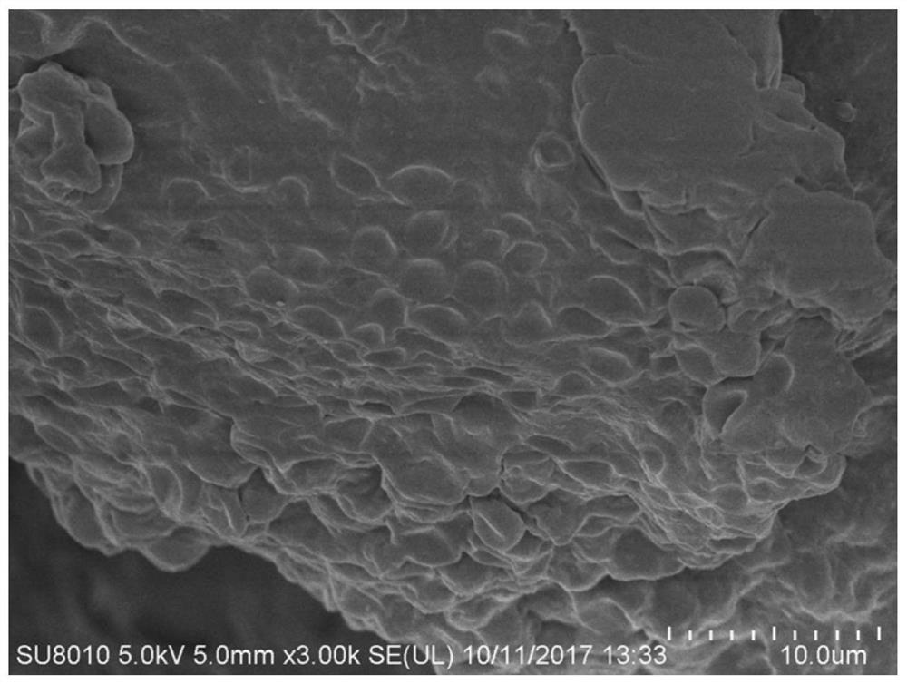 A method for treating black and odorous water bodies using an airlift circulation algae biofilm reactor