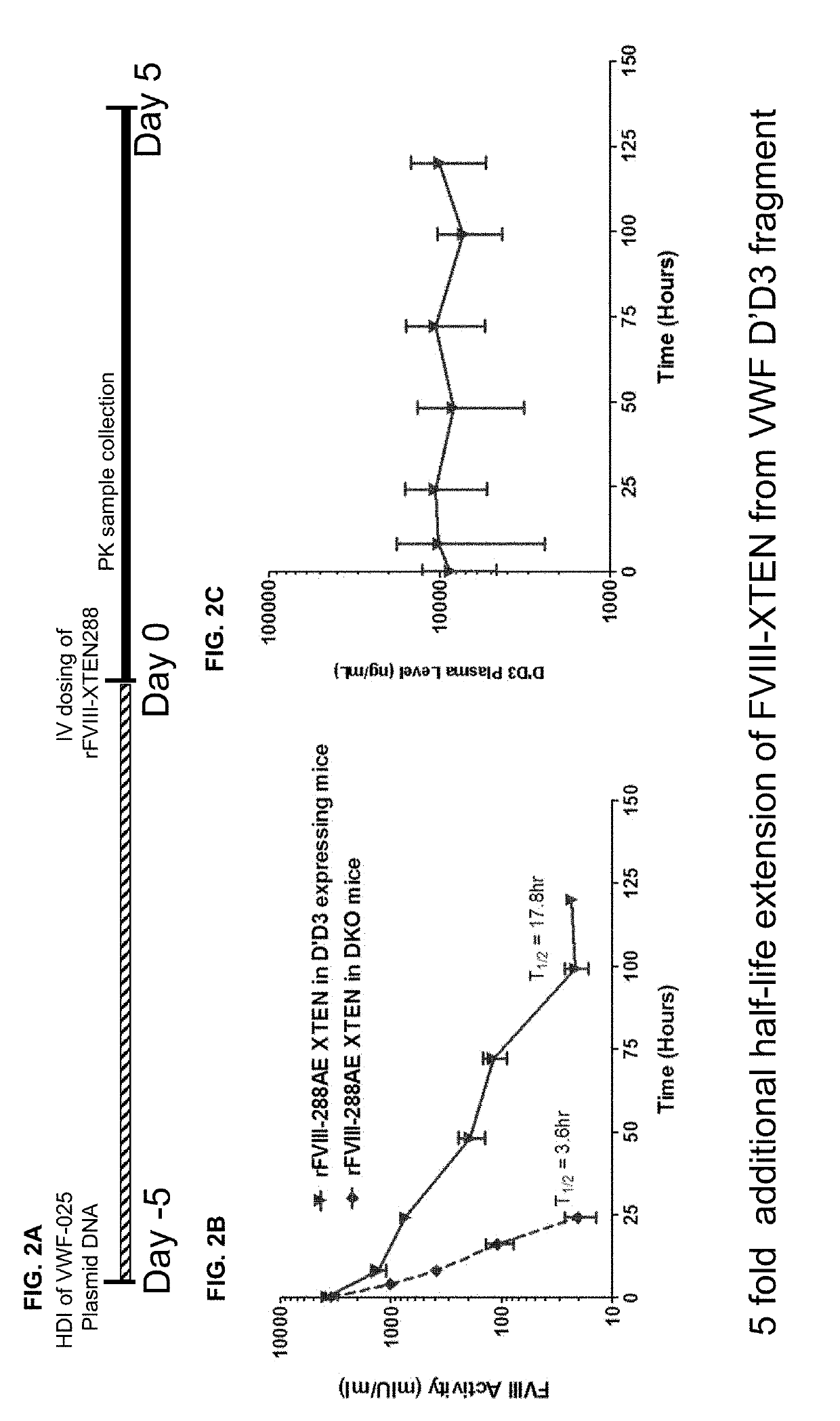 Factor viii complex with xten and von willebrand factor protein, and uses thereof