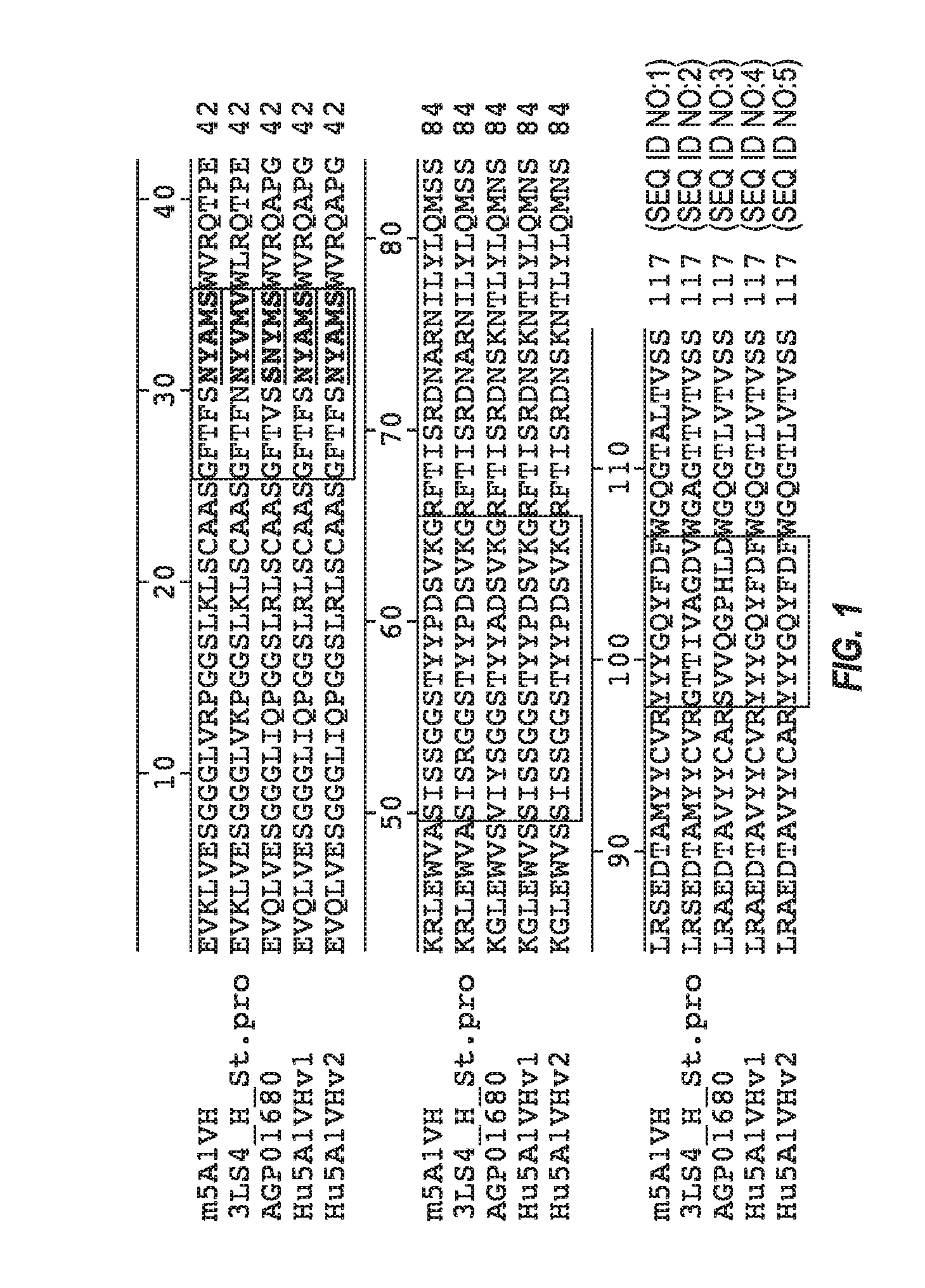 Anti-transthyretin antibodies