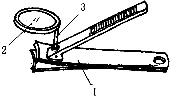 Nail scissors provided with magnifier