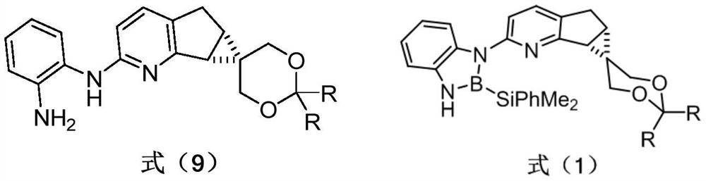 Chiral pyridine-derived N, B ligand, preparation method and application in iridium-catalyzed asymmetric boronation reaction