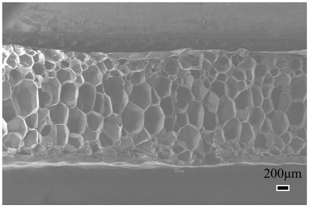 Polymer foam material and its preparation method