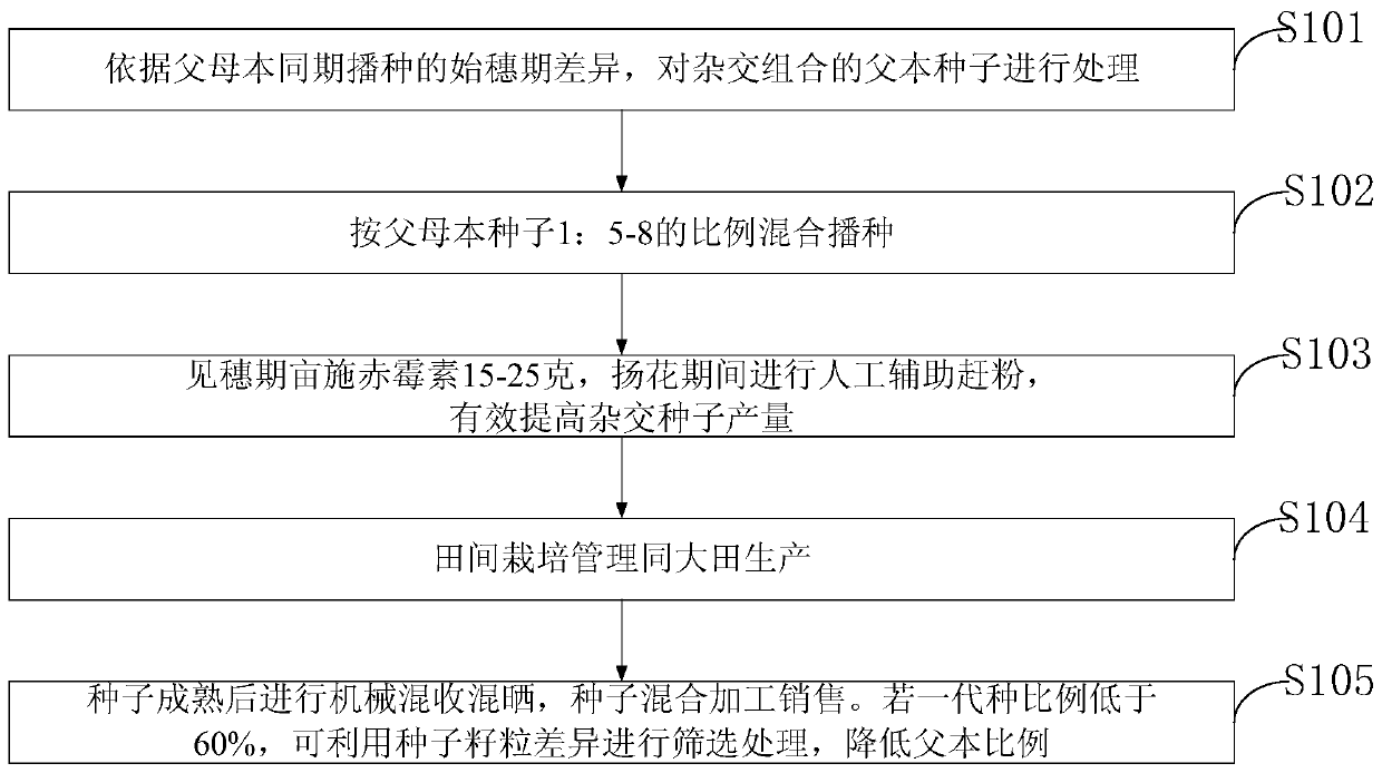 Hybrid rice combination seed and seed production method