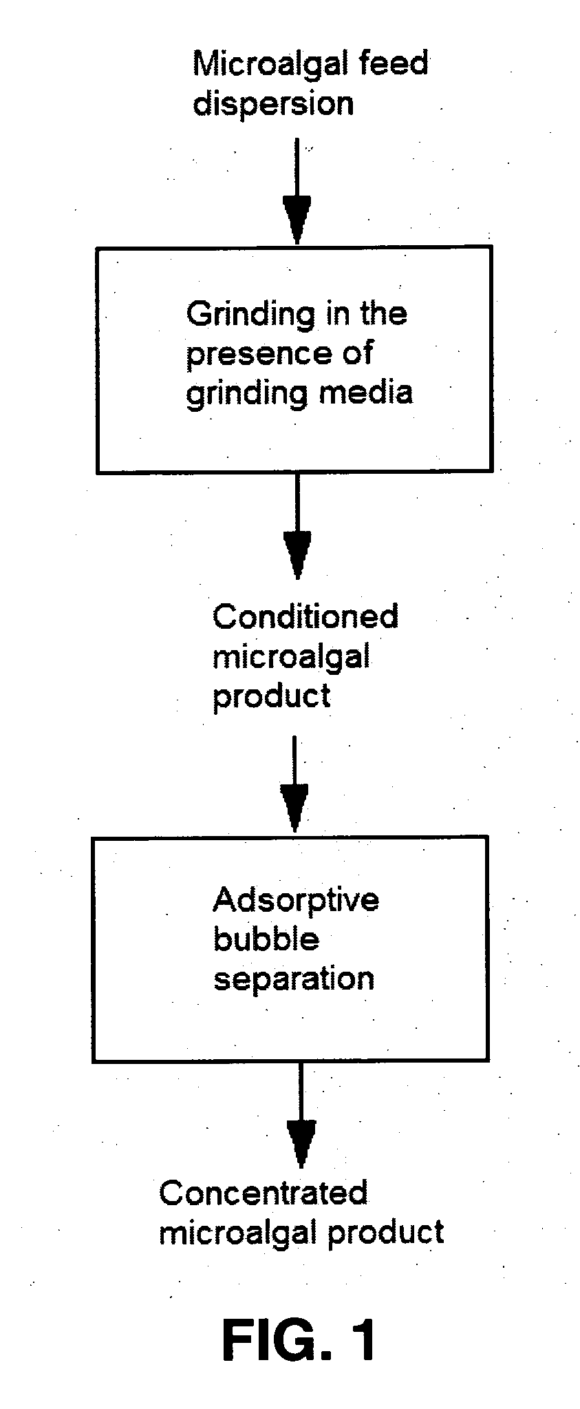 Process for microalgae conditioning and concentration