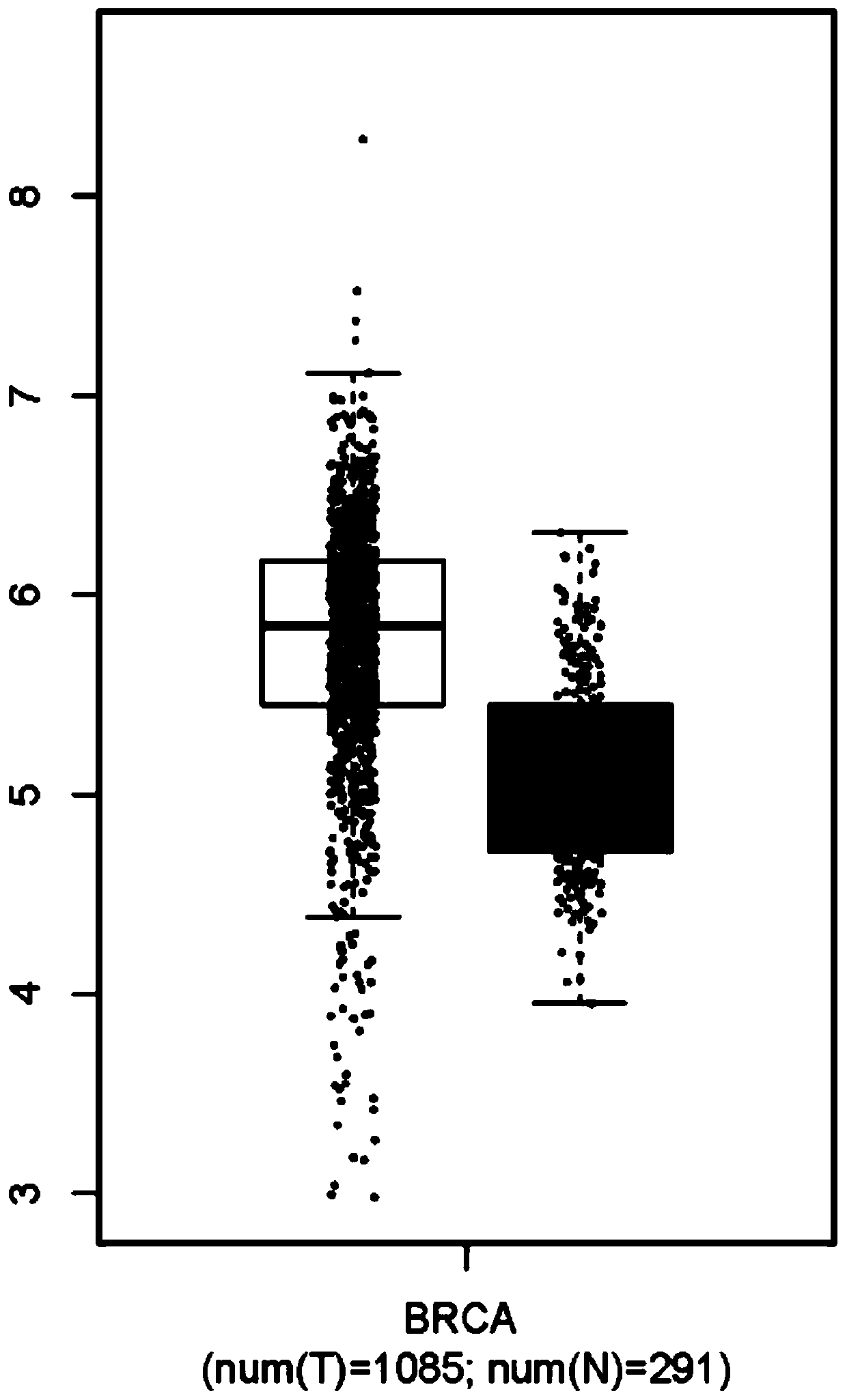 Application of yy1 expression inhibitor in preparation of medicament for breast cancer