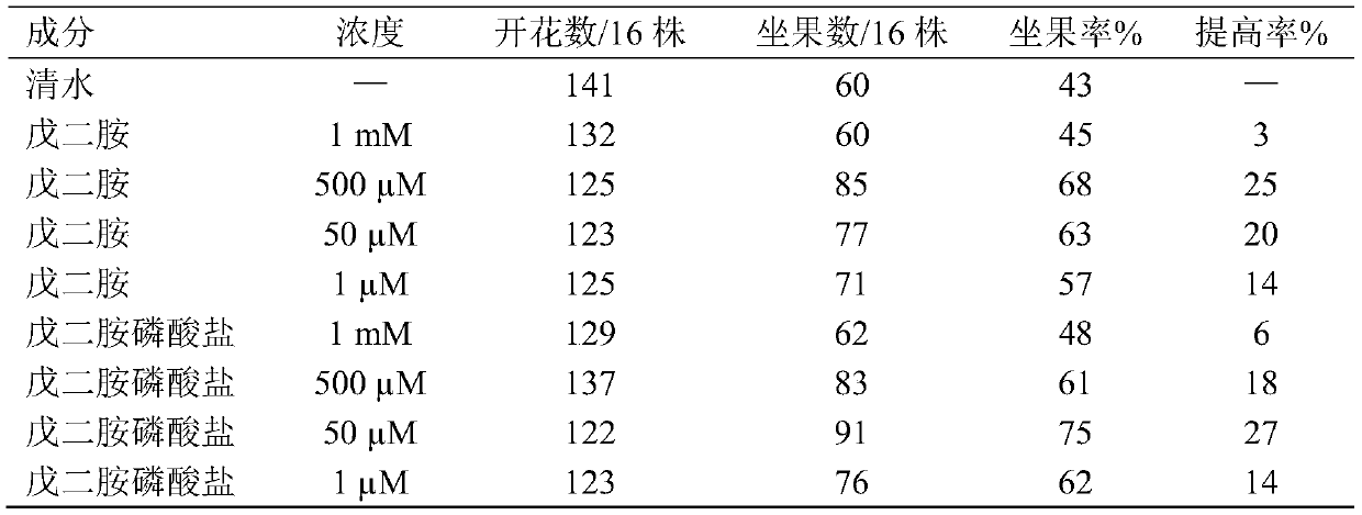 Compound foliar fertilizer containing pentanediamine salt