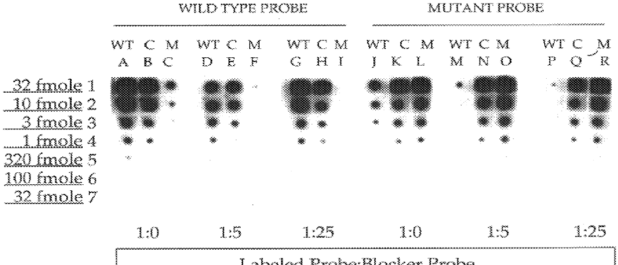 Methods for suppressing the binding of detectable probes to non-target sequences in hybridization assays