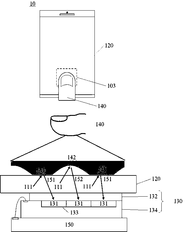 Fingerprint recognition device and electronic equipment