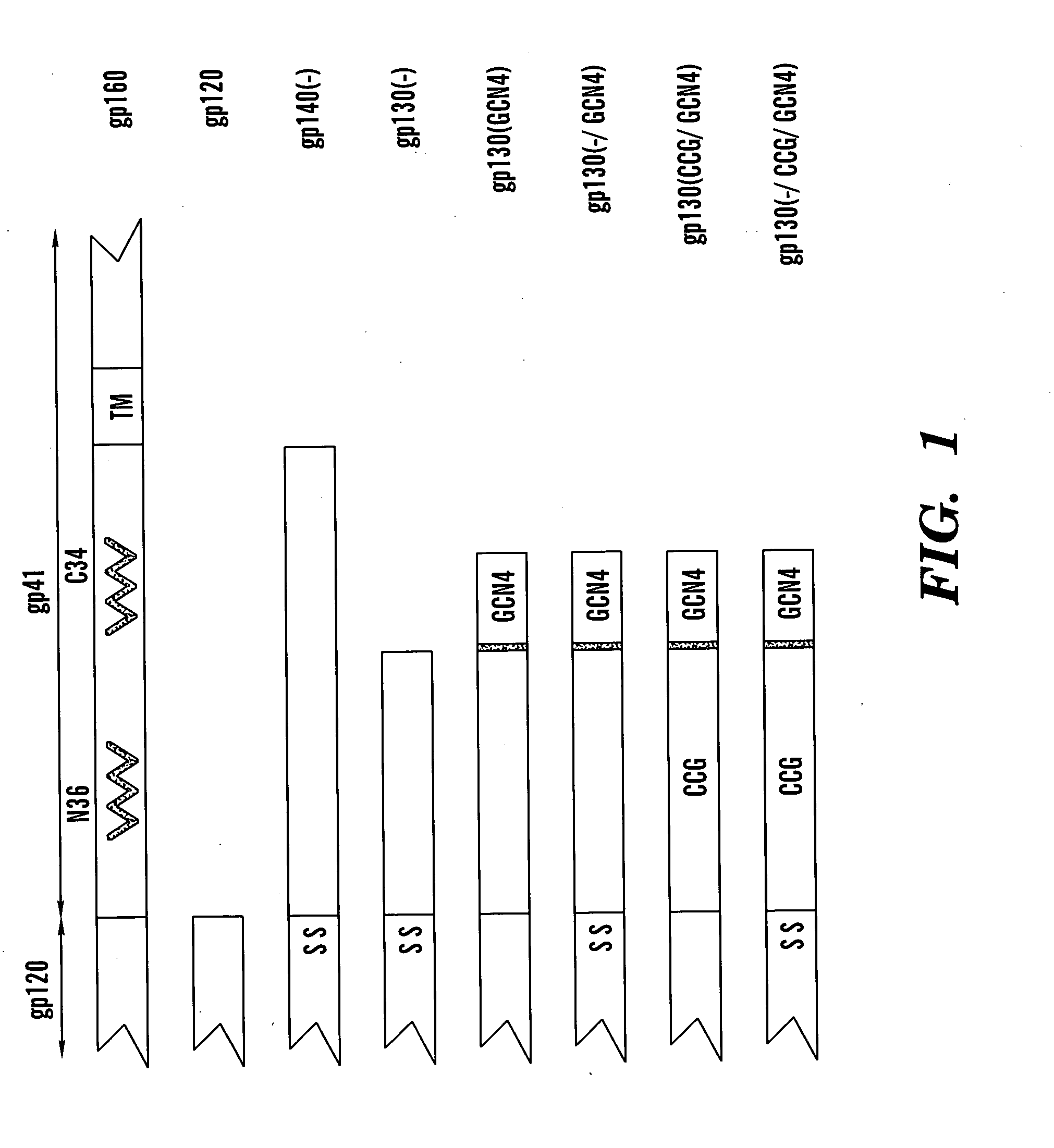 Stabilized soluble glycoprotein trimers