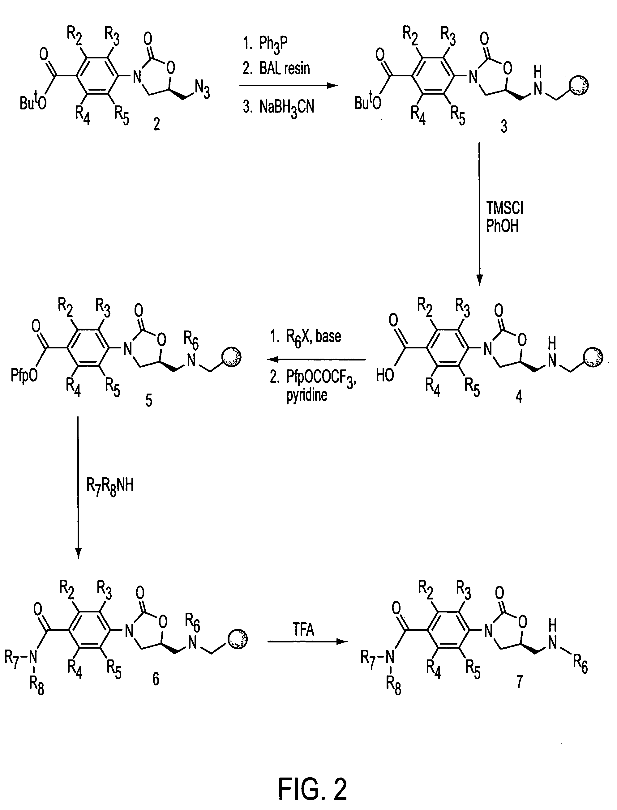 Oxazolidinone combinatorial libraries, compositions and methods of preparation