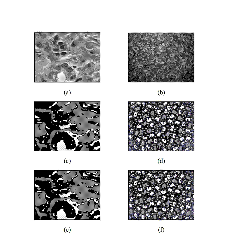 Subtractive clustering based rapid image segmentation method