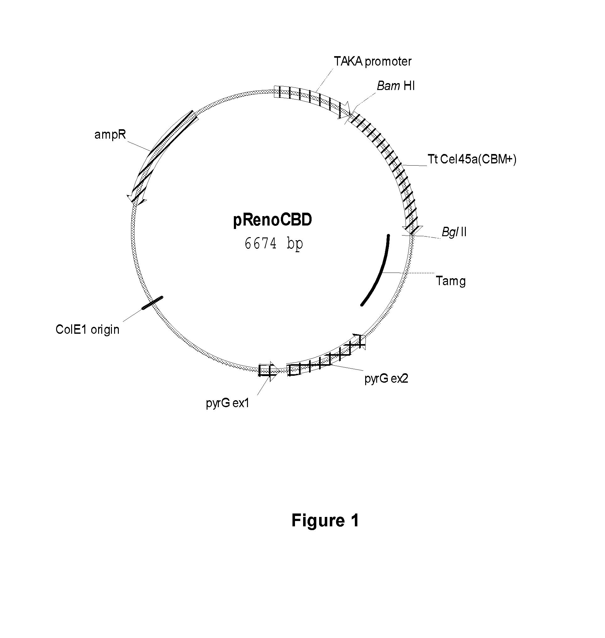 Method for Treating Textile with Endoglucanase