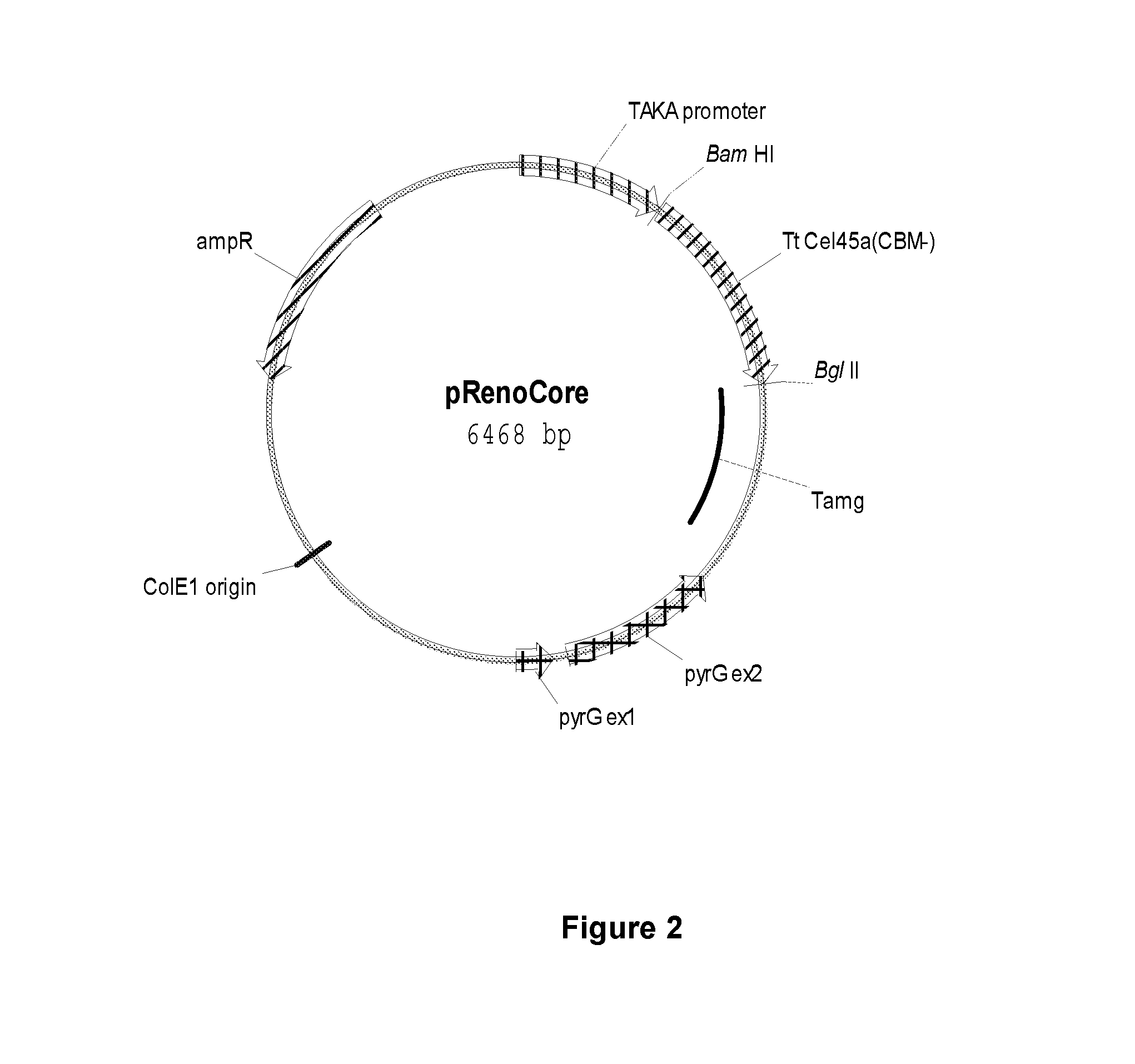 Method for Treating Textile with Endoglucanase