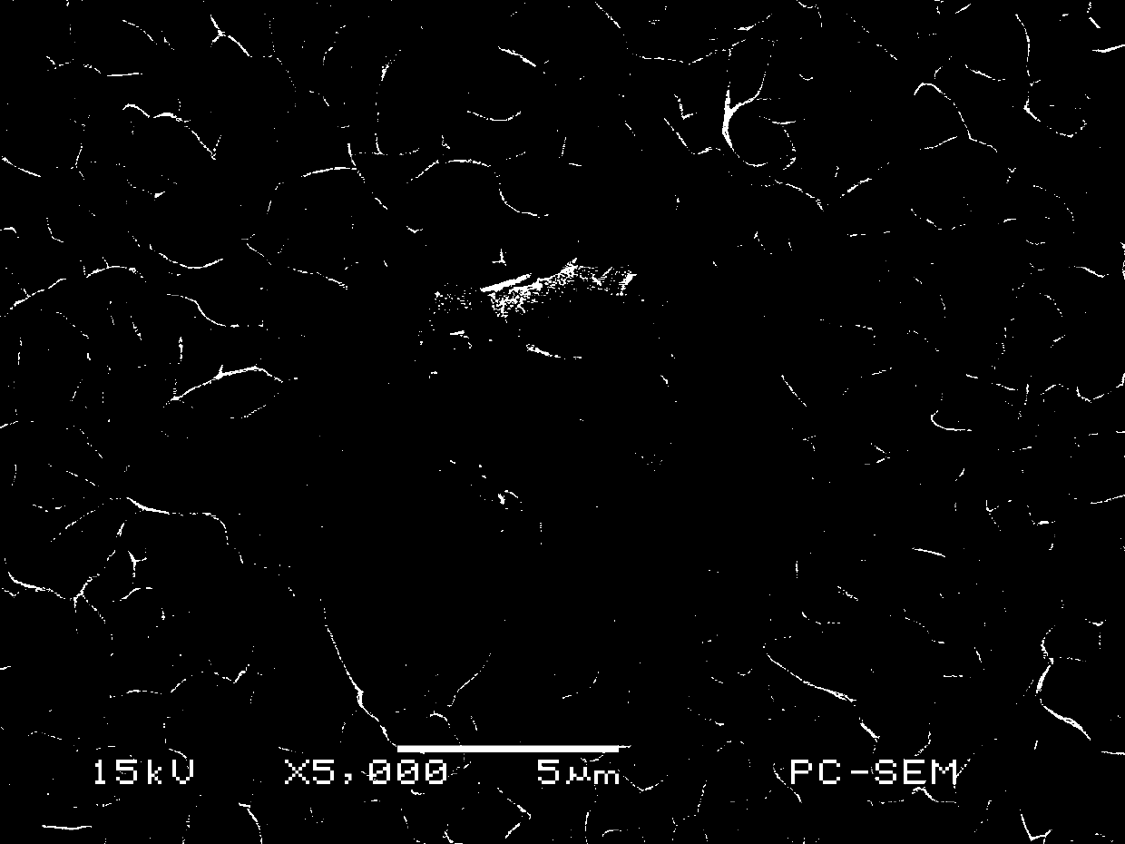 Preparation method of titanium carbide composite indium-zinc sulfide photo-anode