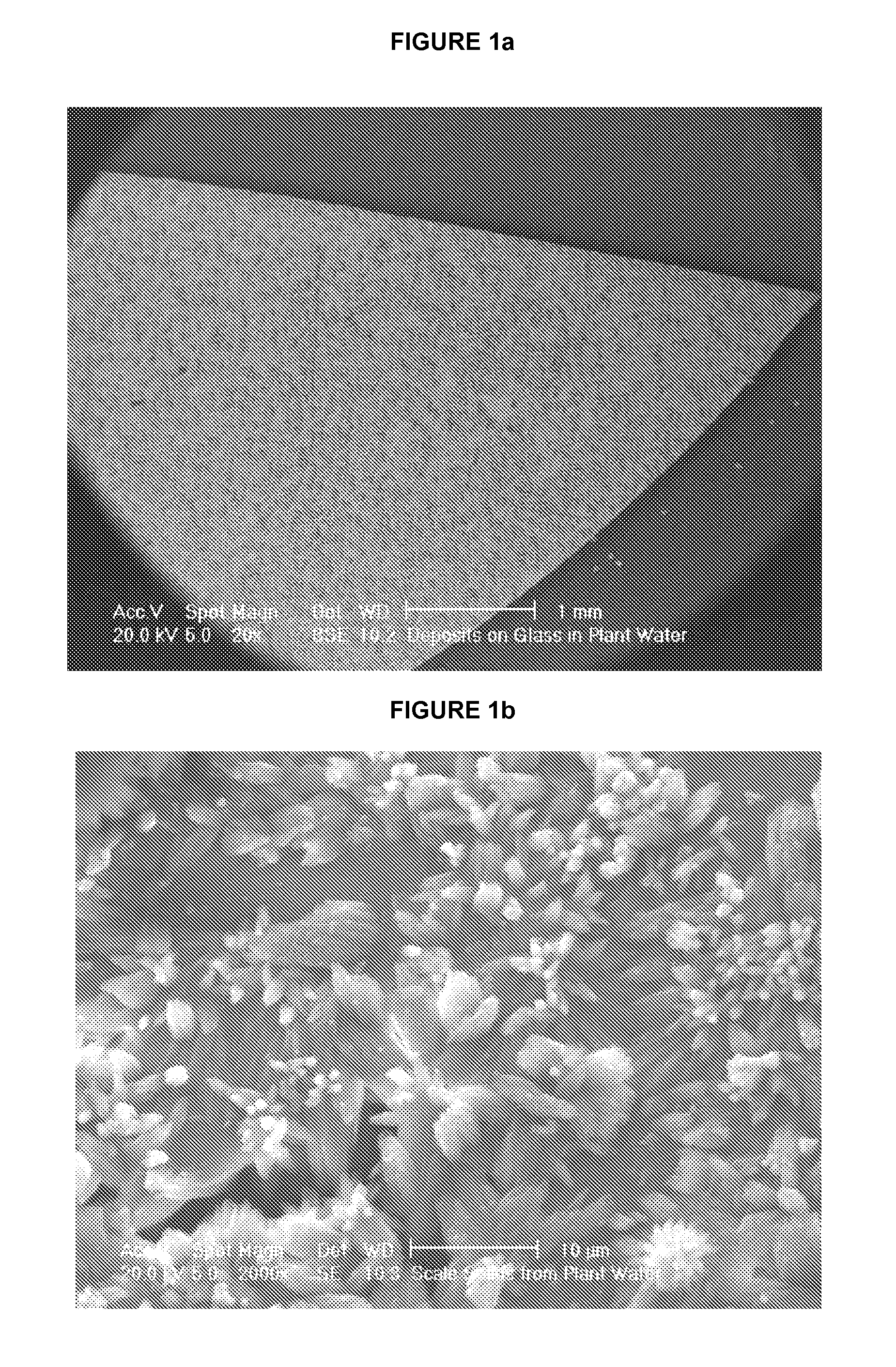 Methods for prevention and reduction of scale formation