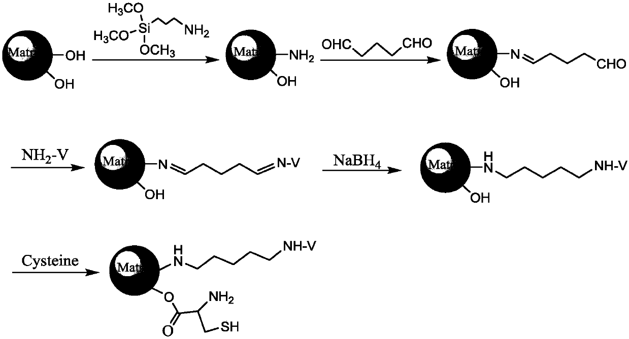 Preparation method for multi-mode-combined vancomycin stationary phase of chromatography