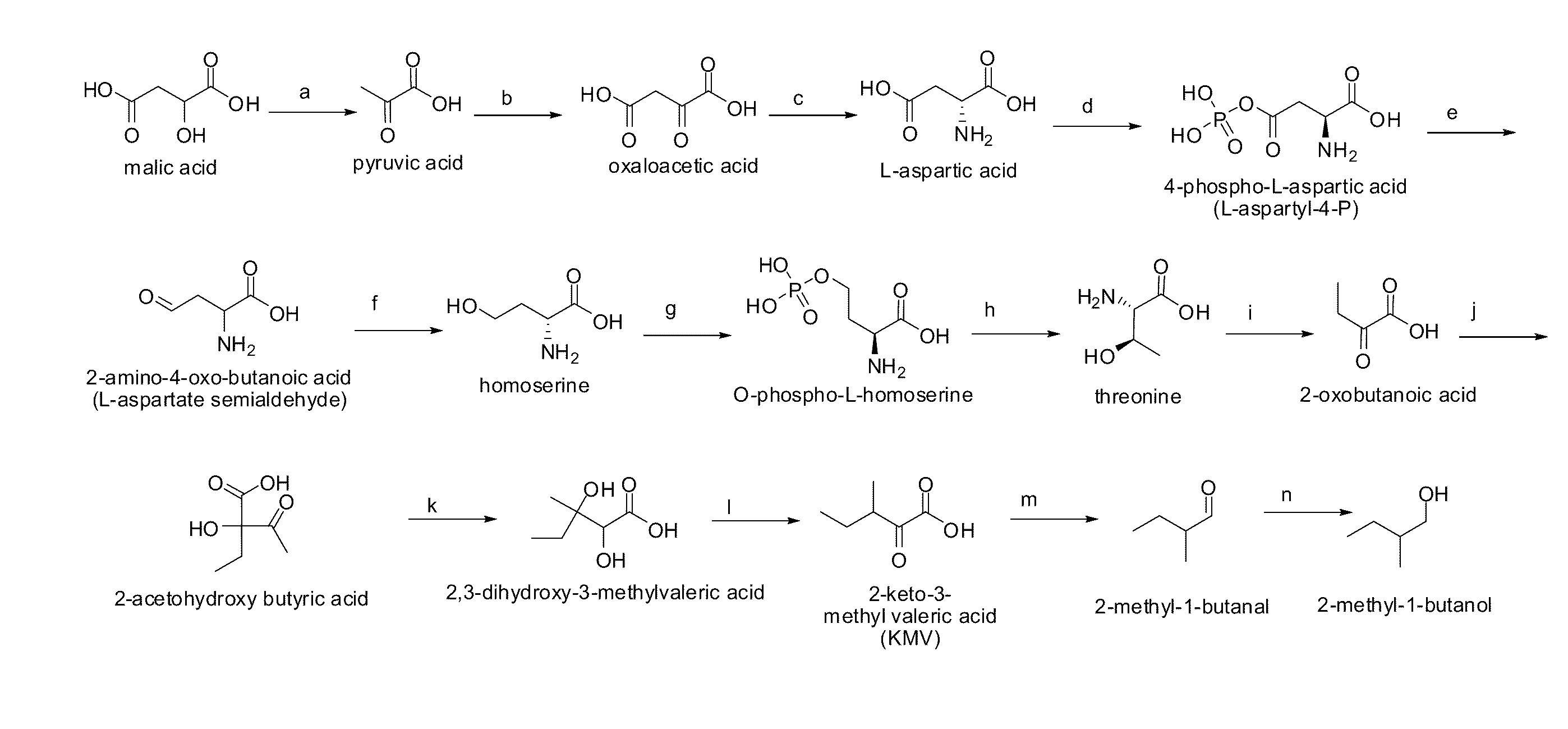 Methylbutanol as an advanced biofuel
