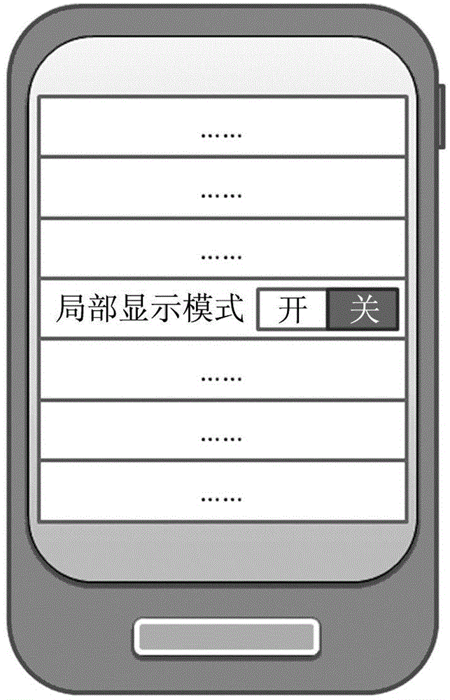 Screen local display system and screen local display method