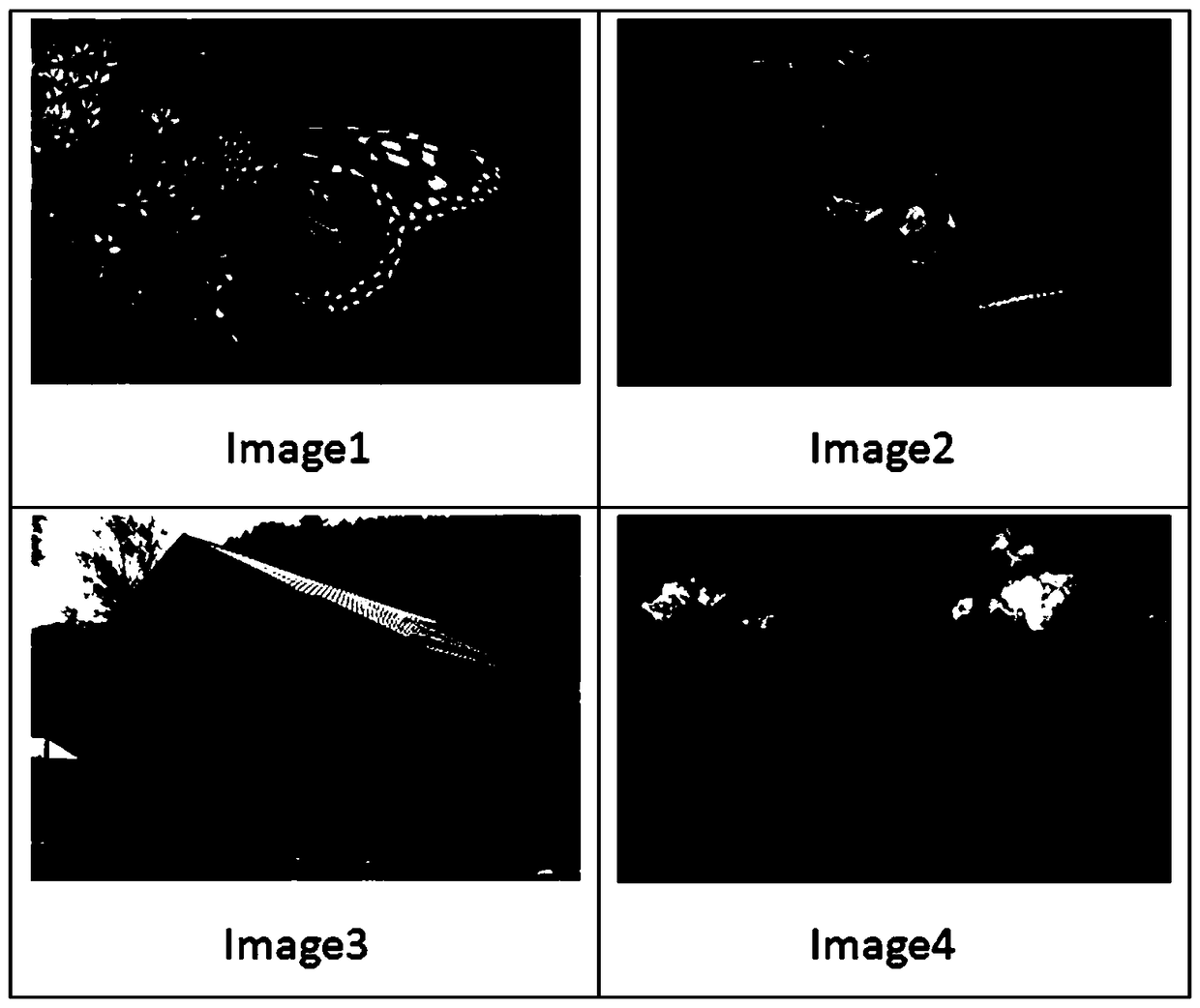 Fuzzy detection method for SVD (Singular Value Decomposition) on the basis of image DCT (Discrete Cosine Transform) domain