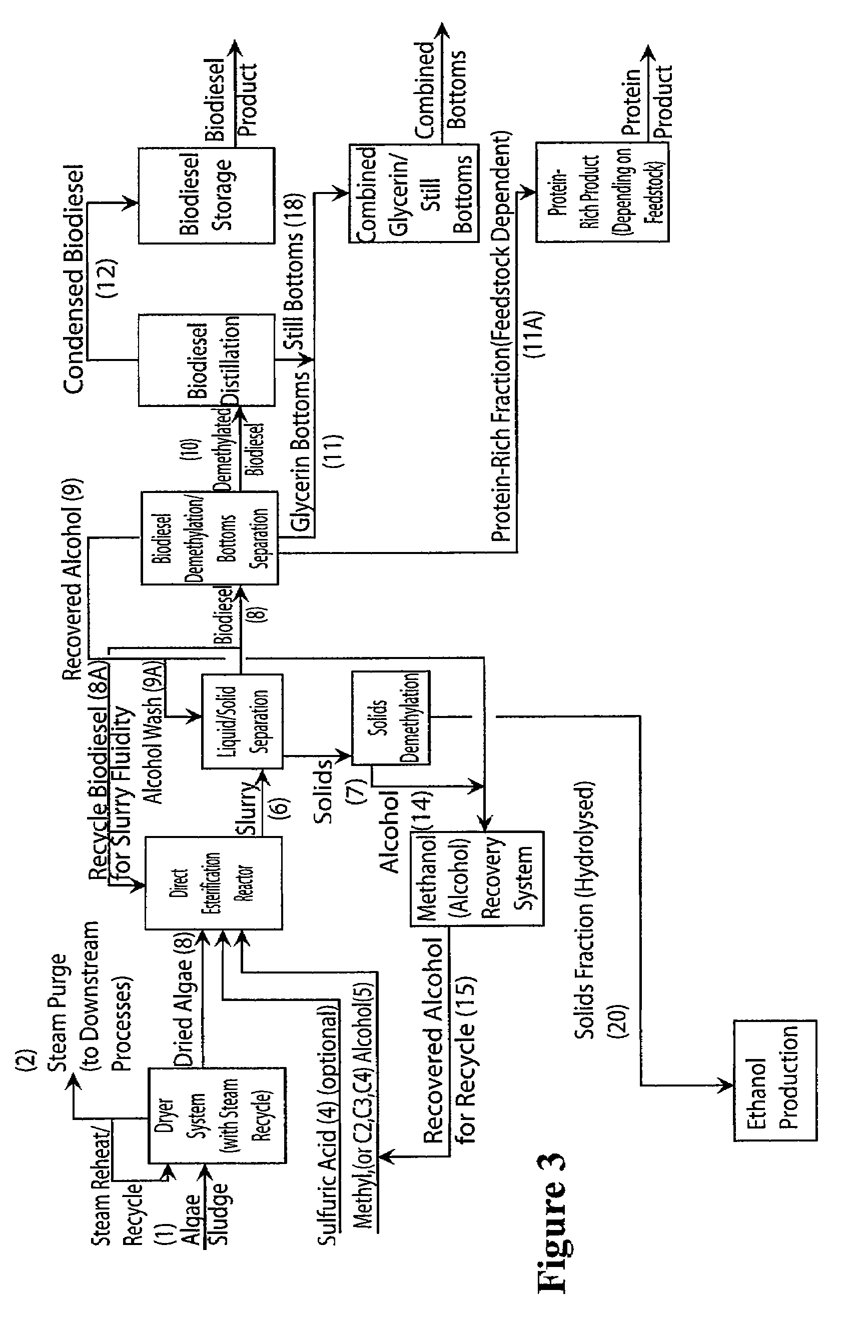Method for conversion of oil-containing algae to 1,3-propanediol